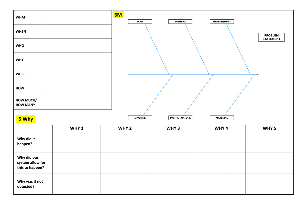 LEAN Six Sigma 6M and 5 Whys Board