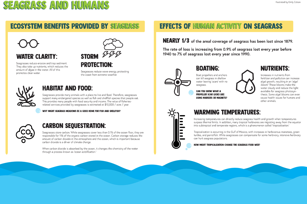 Customized Environmental Education Board