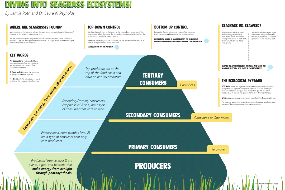 Environmental Ecosystems Education Board