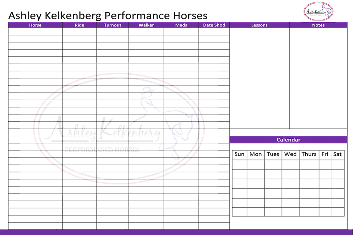 Horseback Riding Training and Care