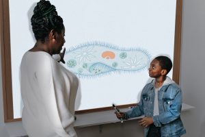Educational Whiteboard 