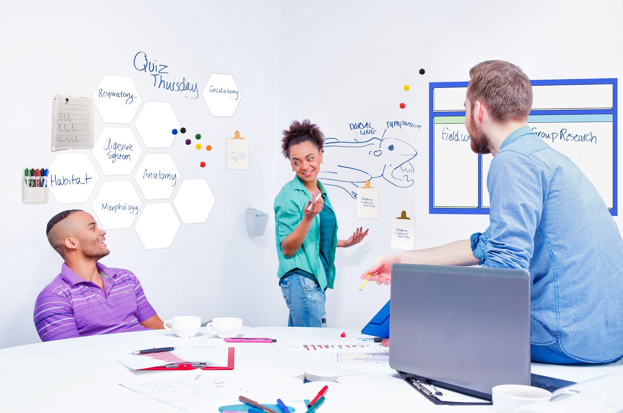 Opti-Rite® Dry Erase Wallpaper