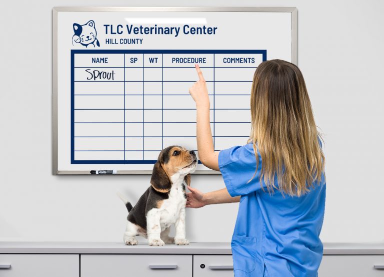 Veterinary Dry Erase