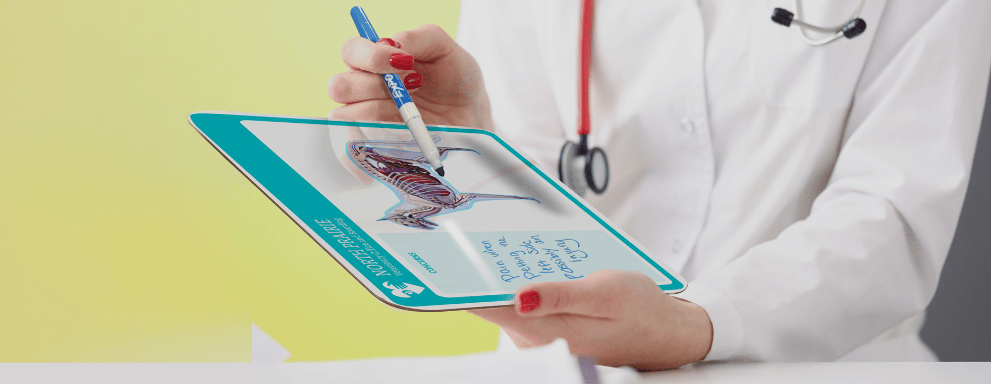 veterinary dry erase board portfolio